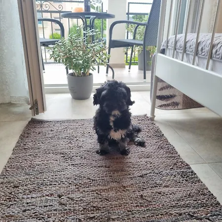 Emilia Apartment Vir