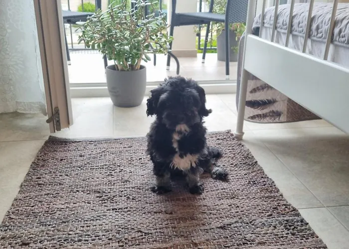 Emilia Apartment Vir